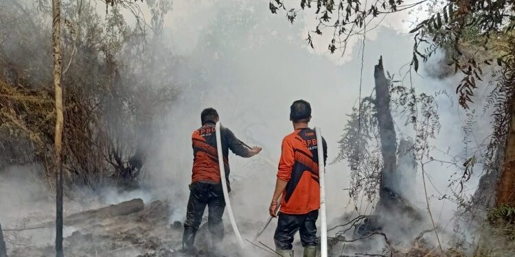 Foto:BPBD/MATA KALTENG - Upaya pemadaman karhutla di Jalan Sawit Raya, 28 Januari 2026.