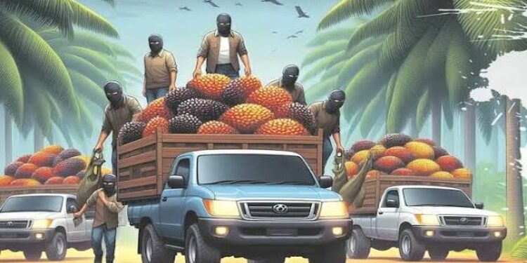 Foto Ilustrasi Google.