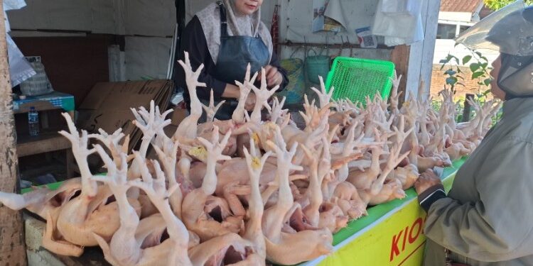 Foto:DIAN/MATA KALTENG - Pedagang ayam di Pasar Keramat Sampit.