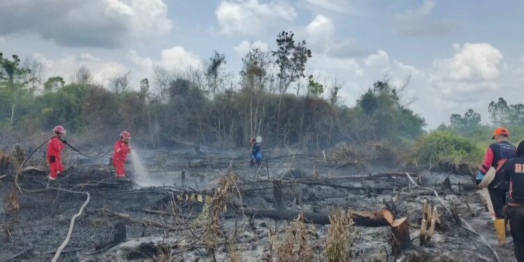 Foto:IST/MATA KALTENG - Proses pemadaman kebakaran lahan di salah satu desa di Kotim.