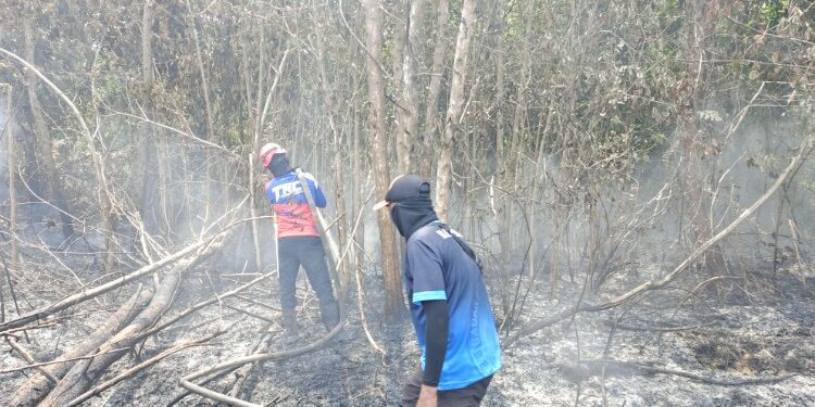 Foto:IST/MATA KALTENG - Proses pemadaman karhutla oleh BPBD Kotim.