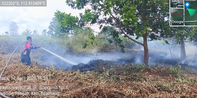 Foto:IST/MATA KALTENG - Upaya pemadaman kebakaran lahan oleh BPBD Kotim belum lama ini.