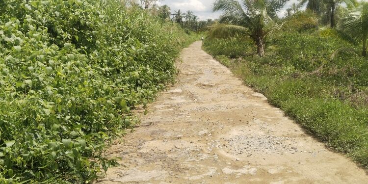 FOTO: AGUS/MATAKALTENG - Kondisi sebagian Jalan Poros di Kecamatan Pulau Hanaut.