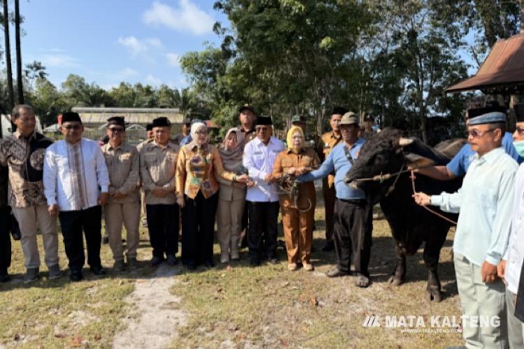 Pemkab Kobar Bagikan Ratusan Hewan Qurban