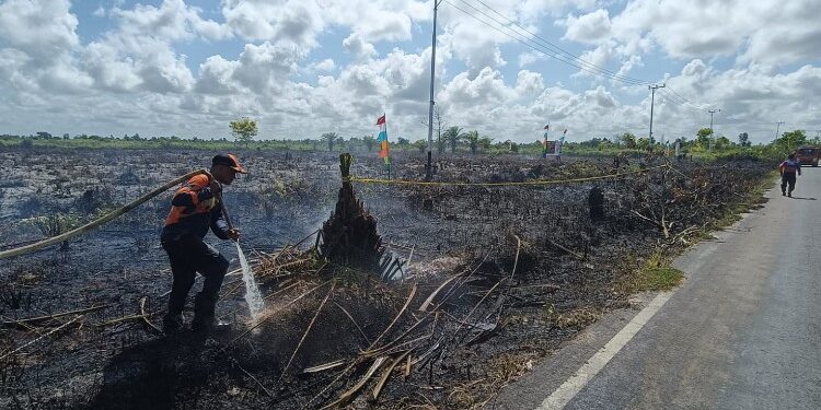 Foto:BPBD/MATA KALTENG - Lahan yang terbakar di Jalan Bumi Raya, Sampit, 26 Juni 2026.