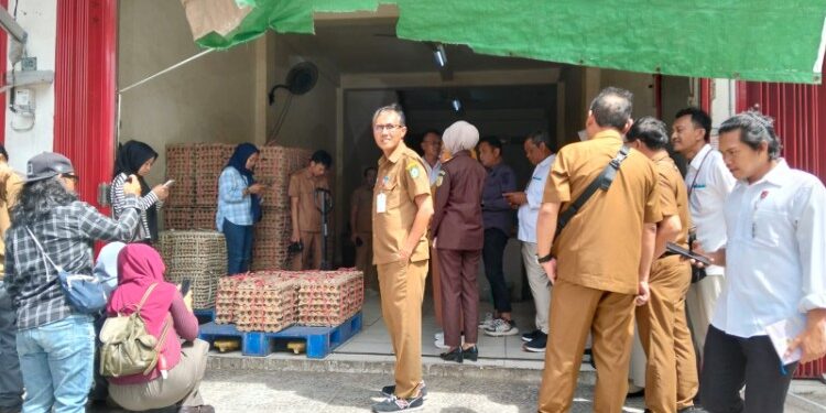 Foto:IST/MATA KALTENG - Wabup Kotim Irawati bersama rombongan saat sidak pasokan telur di agen yang ada di kota Sampit, 29 Juni 2026.