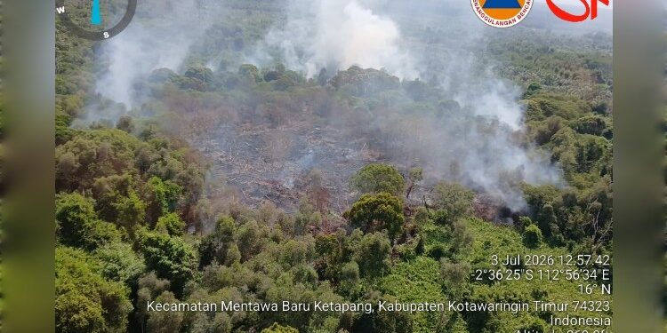 Foto:IST/MATA KALTENG - Kondisi karhutla di Desa Eka Bahurui, Kecamatan MB Ketapang, Kotim.