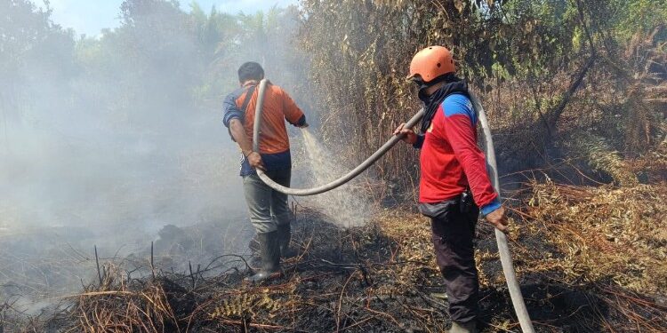 Foto:BPBD/MATA KALTENG - Kejadian Karhutla di Kecamatan Baamang dan Ketapang, 3 Juli 2026.
