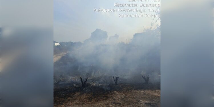 Foto:IST/MATA KALTENG - Karhutla di Kelurahan Baamang Hulu.